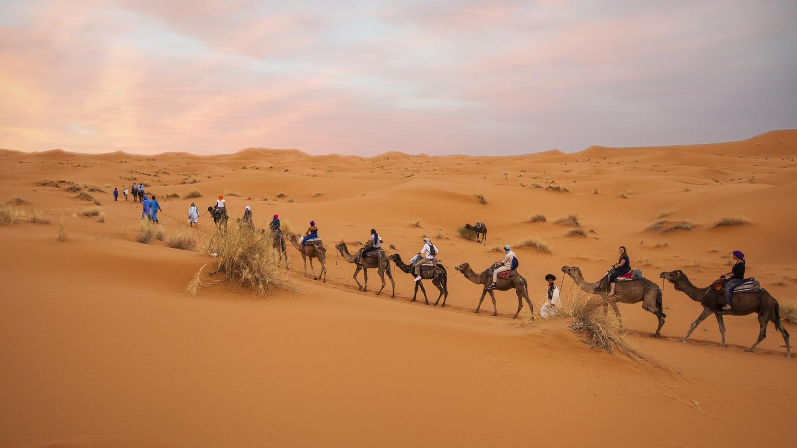 A Desert Adventure on a Budget: Exploring Morocco's Sahara